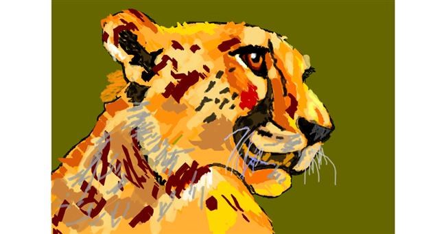 Drawing of Cheetah by 𝐓𝐎𝐏𝑅𝑂𝐴𝐶𝐻™