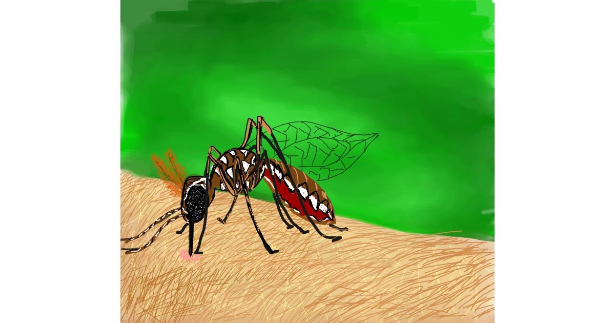 Drawing of Mosquito by Bri