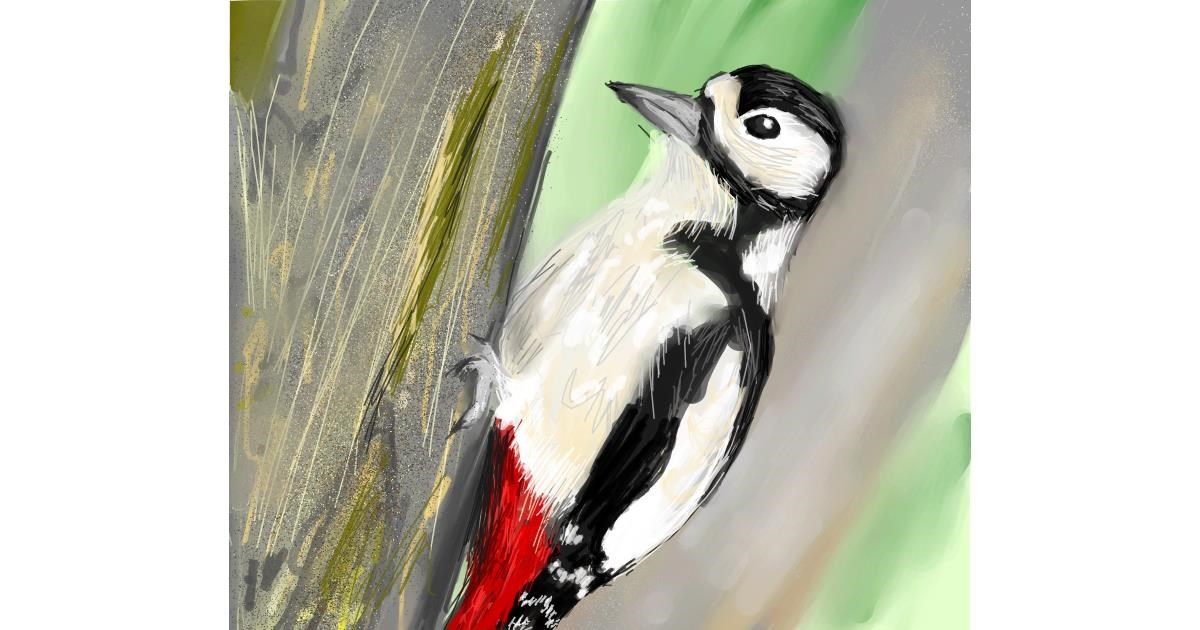 Drawing of Woodpecker by Muni
