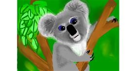 Drawing of Koala by Bri