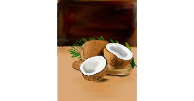 Kokosnuss-Zeichnung von Walter nonwhite