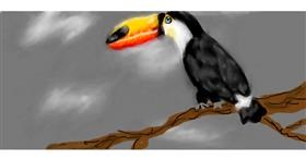 Drawing of Toucan by Kamilicious