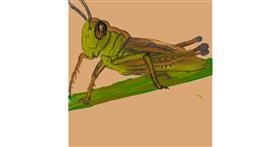 Drawing of Grasshopper by KayXXXlee