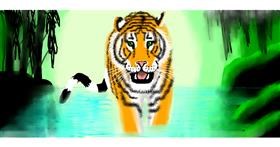 Drawing of Tiger by RaphaelaKK