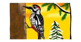 Specht-Zeichnung von justme❤️