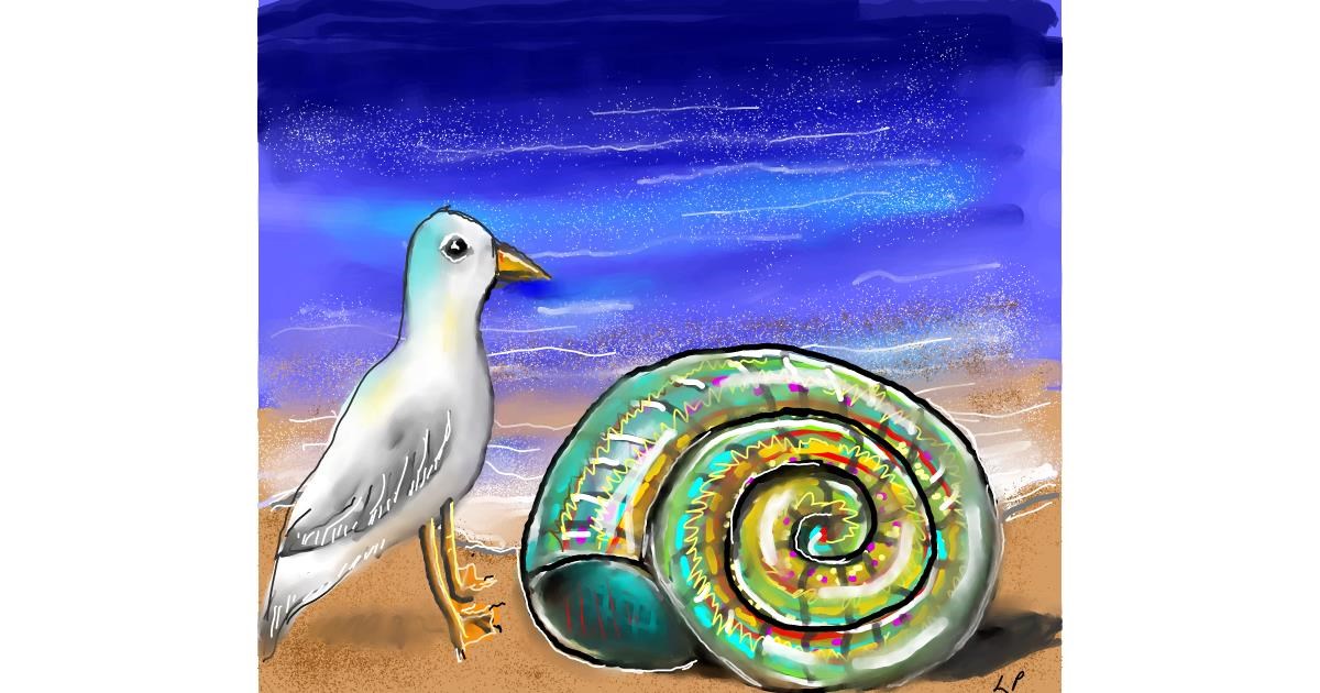 Drawing of Seashell by Leah