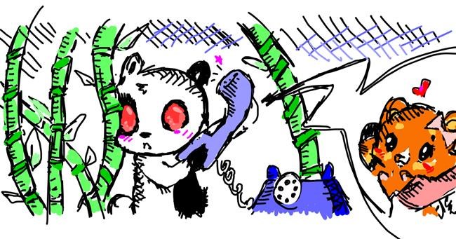 Drawing of Panda by Sheryl3