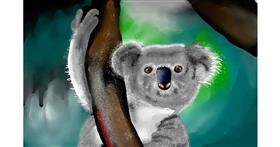Drawing of Koala by Rose rocket