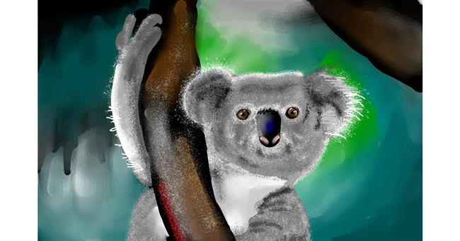 Drawing of Koala by Rose rocket