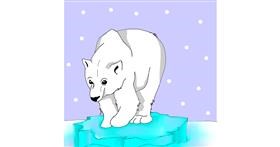 Drawing of Polar Bear by Hunter