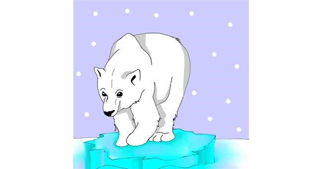 Drawing of Polar Bear by Hunter