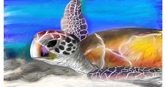 Drawing of Sea turtle by Mia
