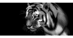 Tiger-Zeichnung von Yukhei