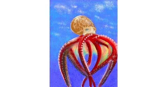 Drawing of Octopus by ⋆su⋆vinci彡