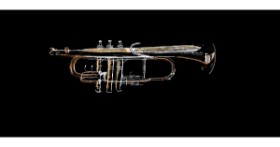 Drawing of Trumpet by Shiney🪶