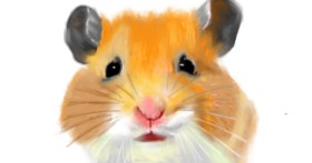 Hrčak - autor: DrawSomething