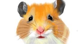 Hamster-Zeichnung von DrawSomething