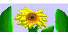 Drawing of Sunflower by Data