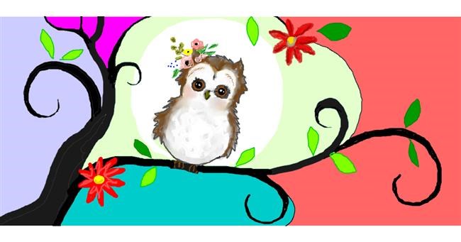 Drawing of Owl by DebbyLee