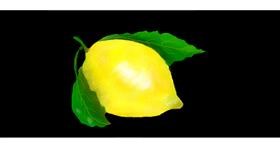 Drawing of Lemon by Gillian