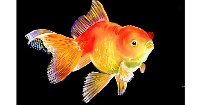 Drawing of Goldfish by GJP