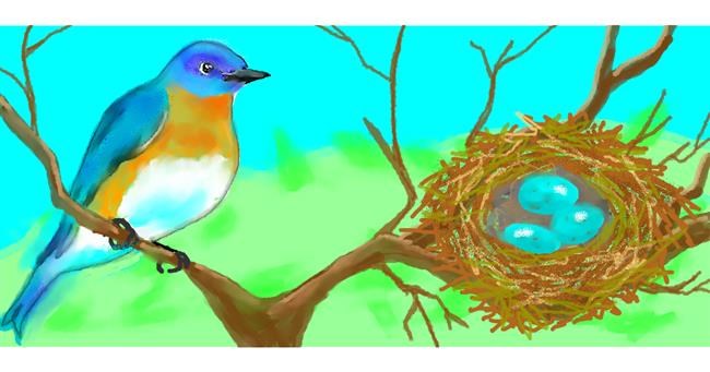 Drawing of Nest by Debidolittle