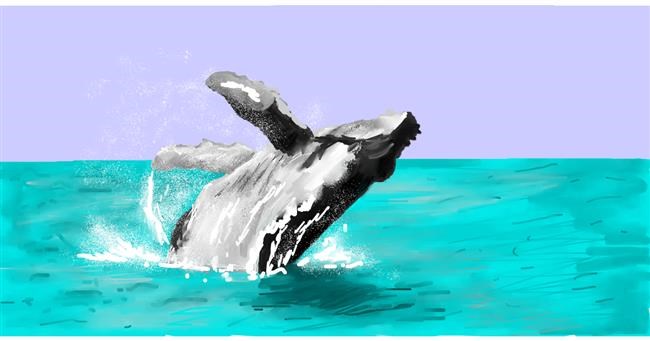 Drawing of Whale by Effulgent Emerald