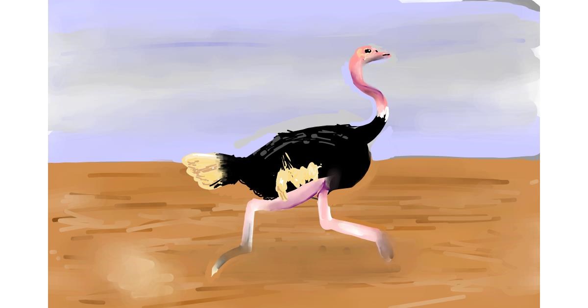 Drawing of Ostrich by Rose rocket