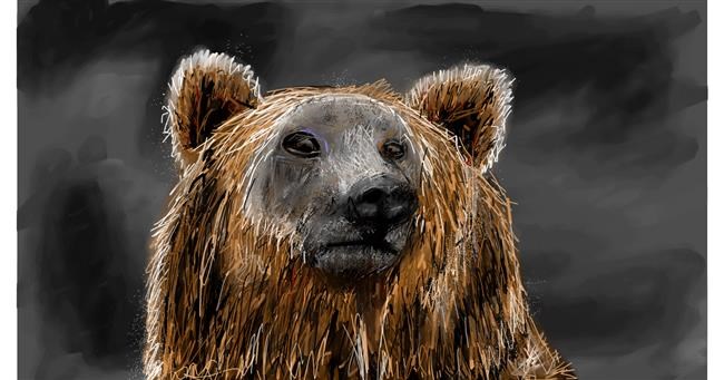 Drawing of Bear by Mia