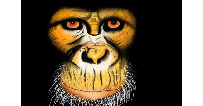 Drawing of Monkey by Wizard