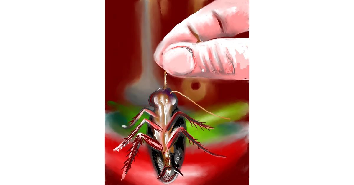 Drawing of Cockroach by Vinci