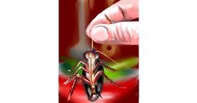 Drawing of Cockroach by ⋆su⋆vinci彡
