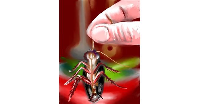 Kakerlake-Zeichnung von ⋆su⋆vinci彡