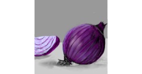 Drawing of Onion by KayXXXlee