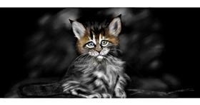 Mače - autor: Chaching