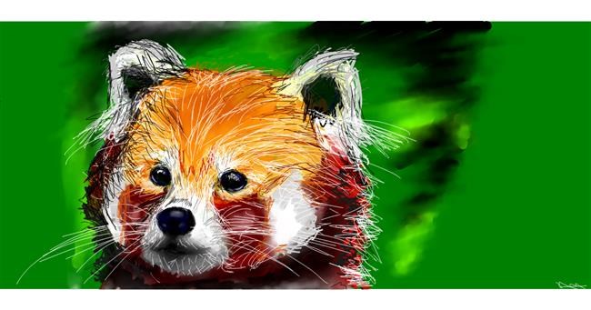 Drawing of Red Panda by Una persona