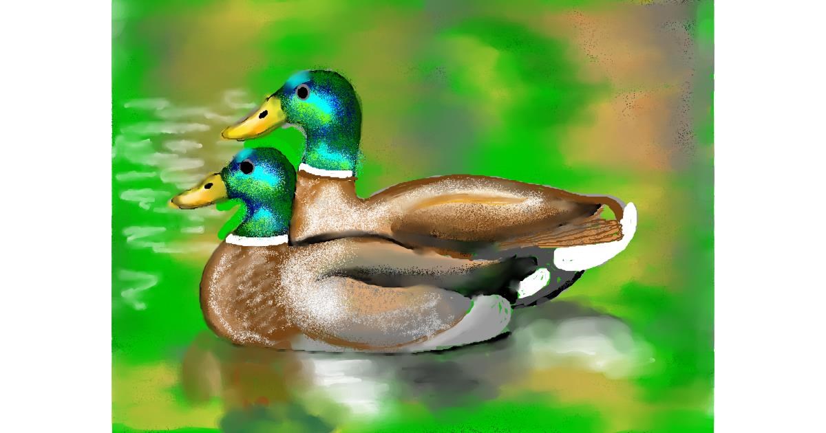 Drawing of Duck by SAM AKA MARGARET 🙄