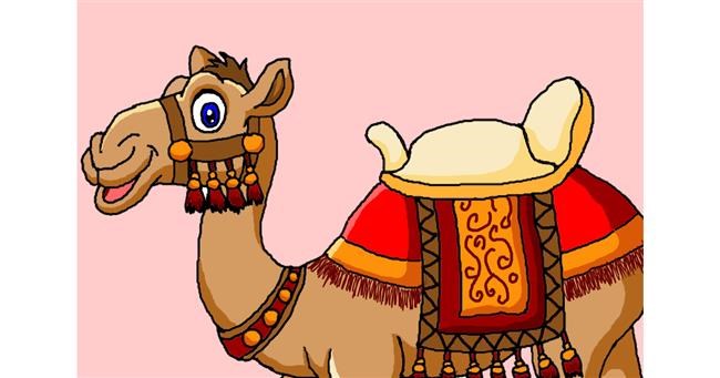 Drawing of Camel by InessA