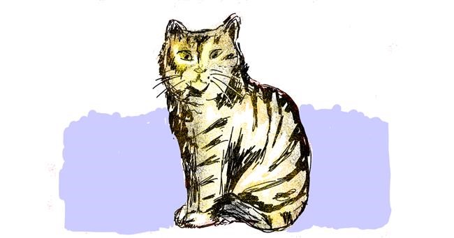 Katze-Zeichnung von Lsk