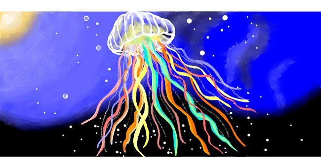 Drawing of Jellyfish by Debidolittle