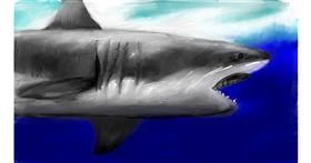 Drawing of Shark by Soaring Sunshine