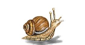 Drawing of Snail by KayXXXlee