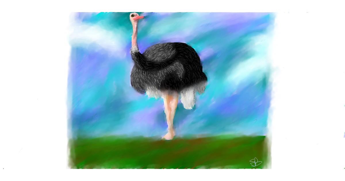 Drawing of Ostrich by Sara