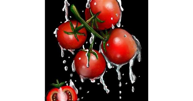 Tomate-Zeichnung von Leah
