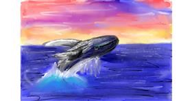Drawing of Whale by Soaring Sunshine