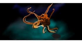 Drawing of Octopus by Chaching