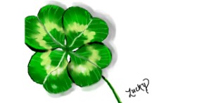 Drawing of Clover by Debidolittle
