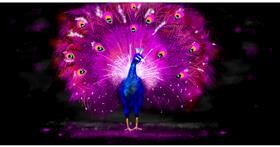 Paun - autor: Eclat de Lune