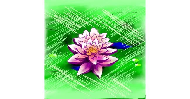 Drawing of Water lily by Keke •_•
