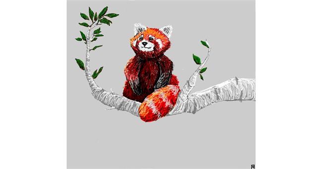 Drawing of Red Panda by Bookwyrm